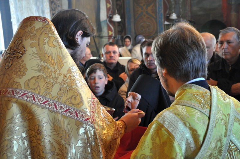 DSC_0111_новый размер