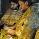 DSC_0028_новый-размер