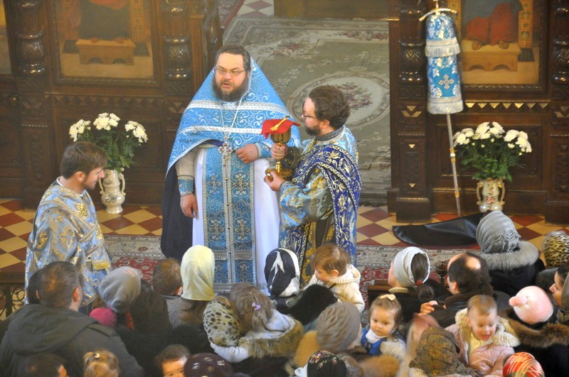 DSC_1435_новый размер