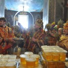 DSC_0231_новый размер